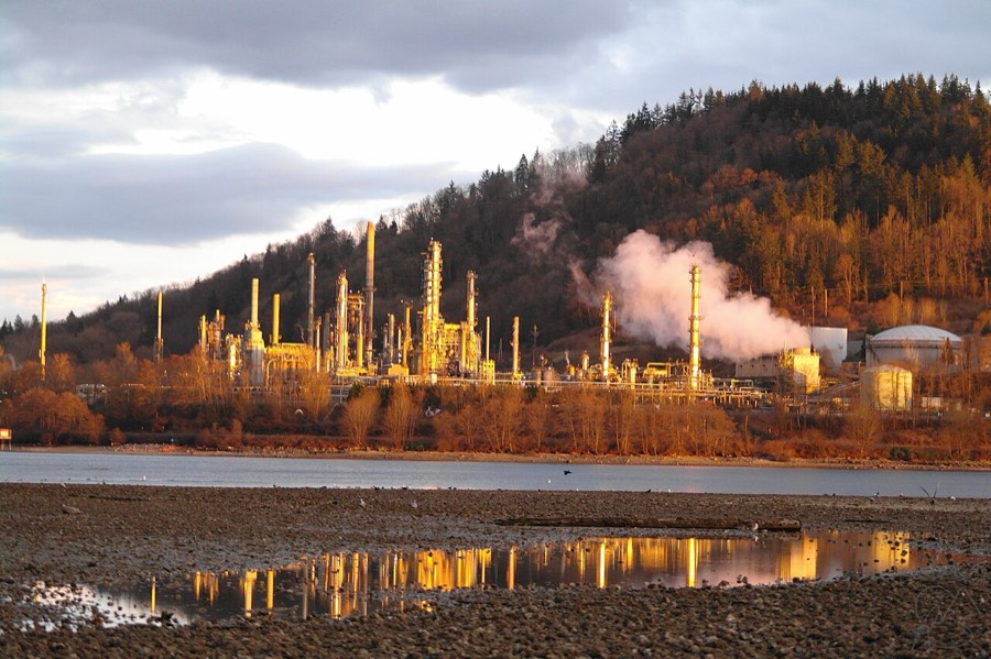 Petrokimya Tesisleri